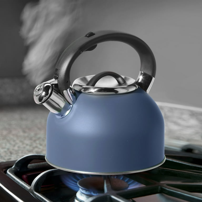 Gas Stove Top Best Kettle In The World OGGI Stainless Steel