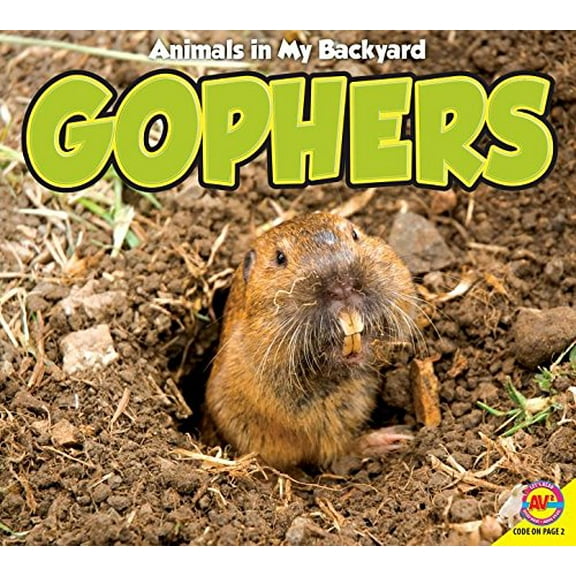 Pre-Owned Gophers (Animals in My Backyard) Hardcover
