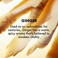 thumbnail image 3 of Origins Ginger Burst Savory DPF11&nbsp;Hand & Body Wash | Lathers & Cleanses | With Ginger, 6.7 Fl Oz, 3 of 3