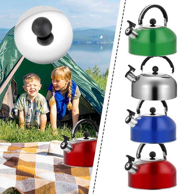 kettle outdoor 10 SilverAnt Large Titanium for Camping | 1400ml/49 fl oz | Ultralight, Corrosion-Resistant, Biocompatible this kettle is a must Magma A10-217-3 Marine Kettle 3