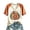 Beige, variant on Thanksgiving Women's Tops Football Pumpkin Print V Neck Loose Soft Cozy Tops Casual Short Sleeve Party Holiday Fall Graphic Tees Coffee 2XL