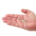 thumbnail image 2 of Berkley PowerBait® The Champ Minnow, 2.5 in, Minnows, HD Blacknose Shiner (10 Count), 2 of 9