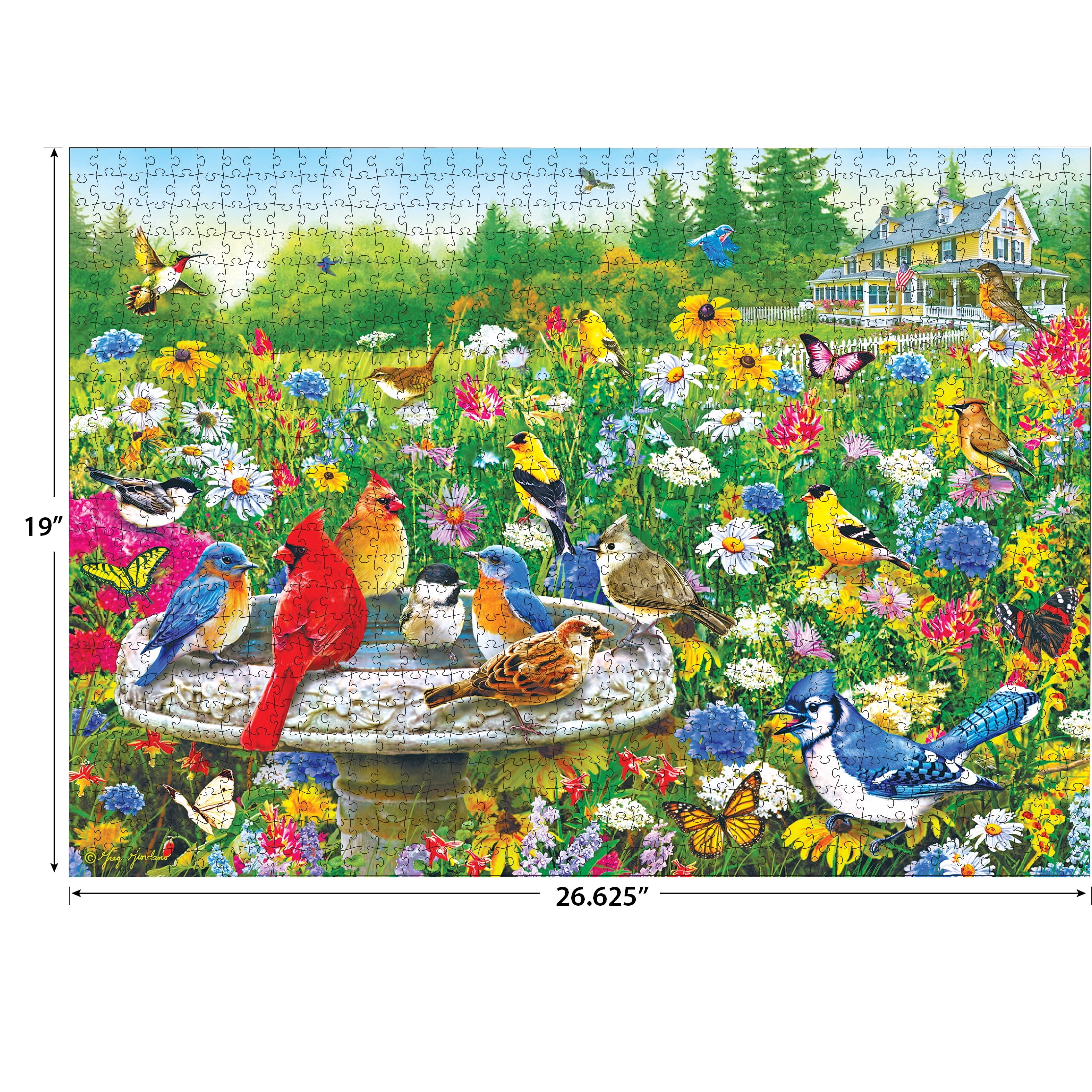 RoseArt - Colorluxe 1000 pièces - Oiseaux au bain d'oiseaux - Puzzle à emboîter pour adultes