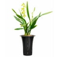 thumbnail image 5 of Uxcell 6.7" Plastic Orchid Pot with Holes Garden Plant Container, Clear 2 Pack, 5 of 5