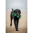 thumbnail image 4 of Pets First NFL Houston Texans Football Field Pet Toy for DOGS/ CATS. Heavy-Duty, Durable toy with Squeaker, 4 of 6