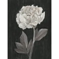 thumbnail image 2 of Harper, Ethan 12x14 Black Ornate Wood Framed with Double Matting Museum Art Print Titled - Black and White Flowers IV, 2 of 4