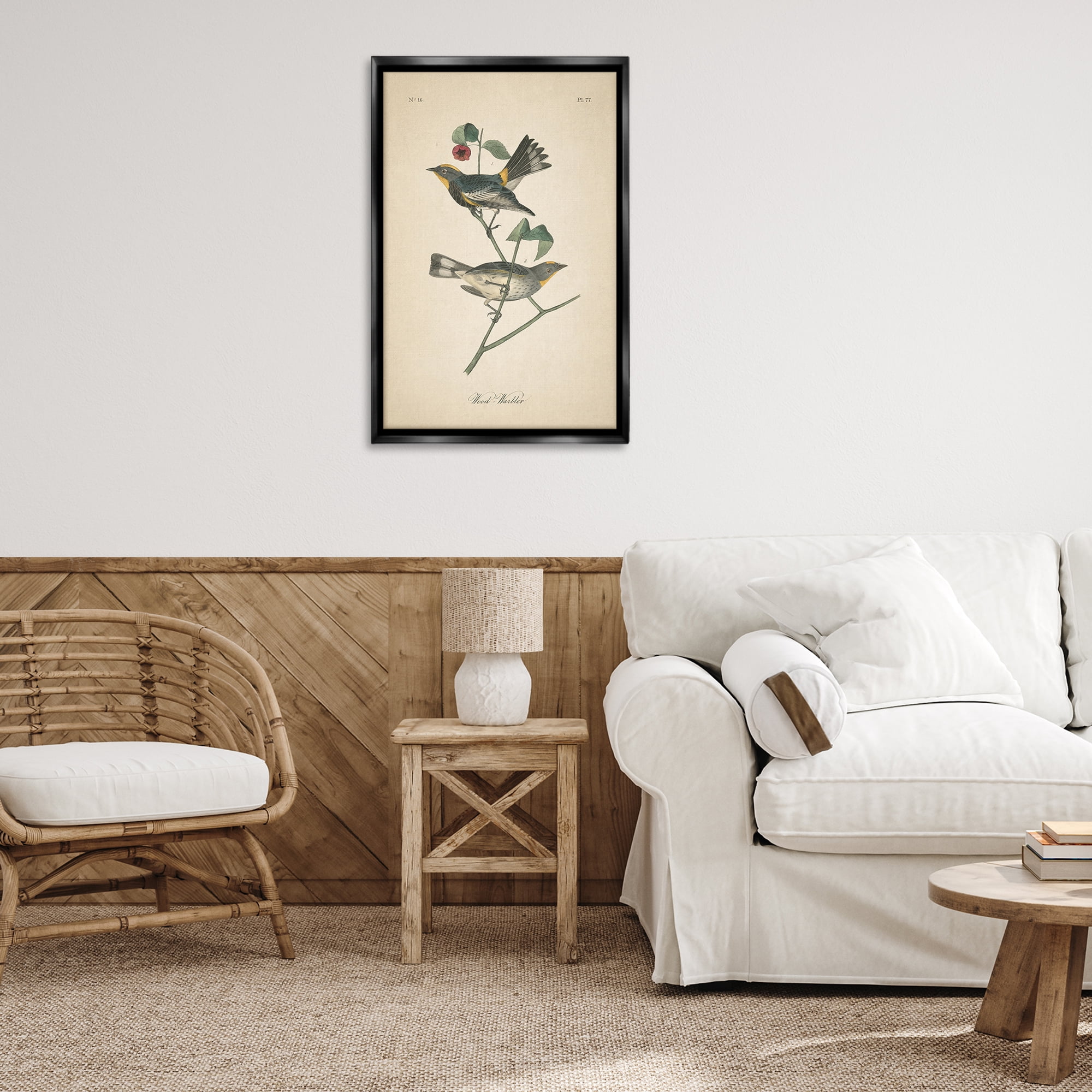 Stupell Industries Vintage Warbler Page Animals & Insects Painting Black Floater Framed Canvas Art Print Wall Art, 21 x 31