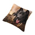 Black German Shepherd Lawn Bokeh German Pillow Cover Decorative Throw