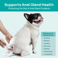 thumbnail image 4 of Toallitas para Mascotas HICC PET Desodorantes, Hipoalergénicas y Biodegradables, 4 of 7