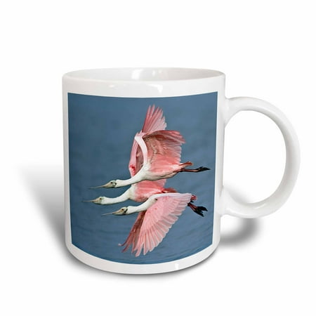 

3dRose Florida Ding Darling NWR Roseate Spoonbill birds - US10 BFR0111 - Bernard Friel - Ceramic Mug 15-ounce