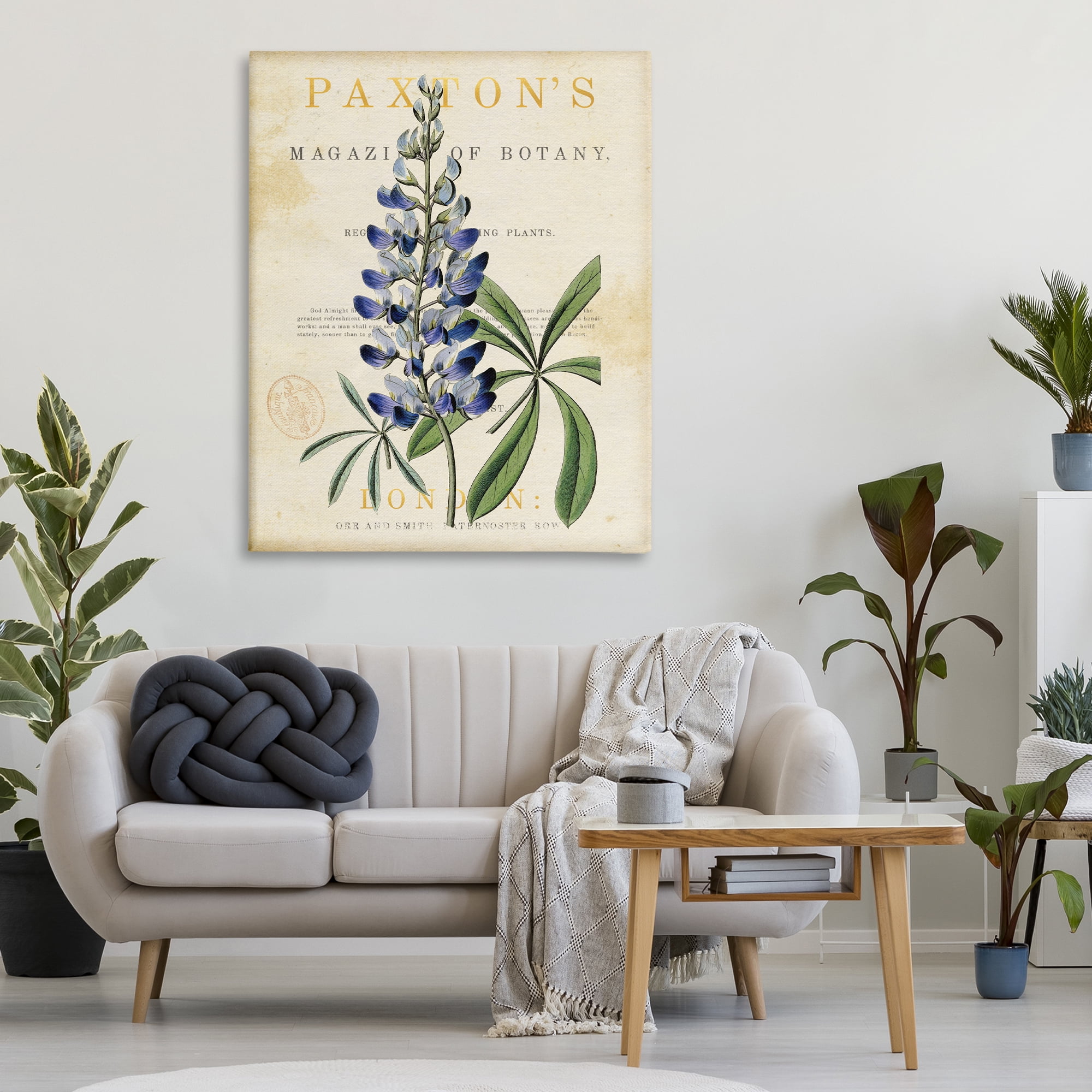 Stupell Industries Natural Botany Lupine Canvas Wall Art, design by Susan Arnot