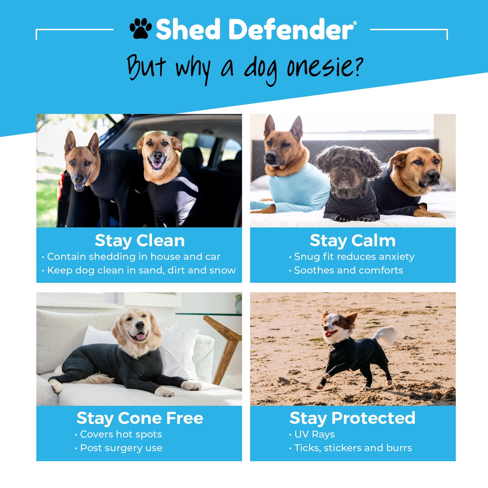 Chewy 2025 shed defender