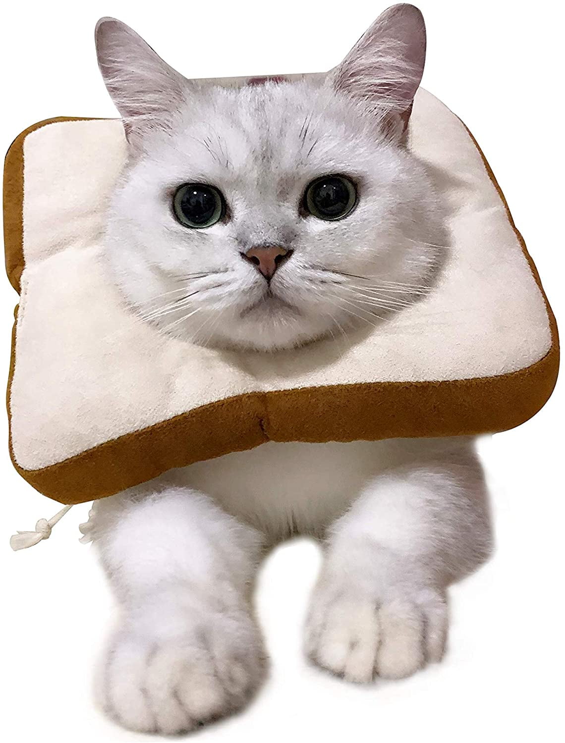 Adjustable cat recovery collar, cute neck taper after surgery, wound