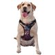 thumbnail image 1 of Balery Cute Flower Owl Arnés para Perros Grandes Antitirones, Arnés con Correa para Gato, Arnés Tipo Chaleco para Perros Pequeños-Large, 1 of 6