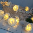 thumbnail image 2 of MesaSe Halloween Rose Simulation 4.5M 30 LED String Lights  Rose String Light, 2 of 3