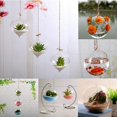 thumbnail image 1 of Hanging Ball Glass Flower Planter Vase Terrarium Container Landscape Bottle, 1 of 5