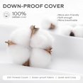 thumbnail image 4 of Set of 2 Down and  Throw Pillow Inserts 18x18 Soft Fluffy Pillow Inserts with  Down-Proof  Cover, Decorative Square Cushion Inner for Sofa Couch Bed-White, 4 of 7