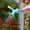 5Pcs Dual Spray Nozzle Under $5 a1, variant on 5Pcs Watering Sprinkler Nozzle, Usloyux Watering Sprinkler Nozzle, 2-in- Bottle Cap Design for Plants Irrigation, Dual Spray or Pour Function, Easy Tool for Flower Waterers, Watering Cans, Garden,