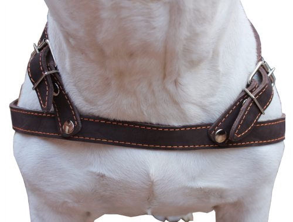 High Quality Leather Dog Pulling Walking Harness . 33"-37" Chest, 1" Wide Straps. Pitt Bull, Rottweiler