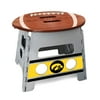 14" Gray and Brown NCAA Iowa Hawkeyes Folding Step Stool