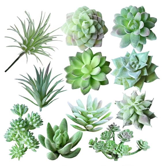 Qianfeng 11 Pcs Mini Artificial Succulent Plants Realistic Green Succulent Potted Plants (None Containers)