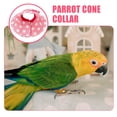 thumbnail image 3 of Parrot Collar Anti-pecking Collar Bird Recovery Collar Ring Anti-biting Bird Cone Collar, 3 of 5