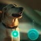 thumbnail image 1 of Collar luminoso LED con forma de neumático para mascotas | Luz de seguridad con clip para paseos nocturnos | Plástico suave | Color azul | Accesorio para mascotas a pilas, 1 of 6