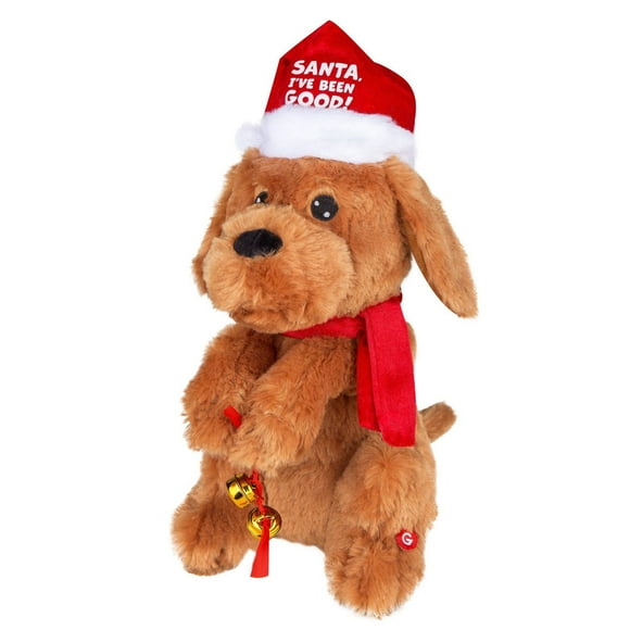 Begging Christmas Labradoodle