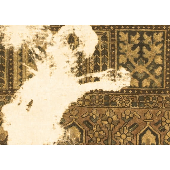 Ahgly Company Indoor Rectangle Oriental Brown Modern Area Rugs, 8' x 10'