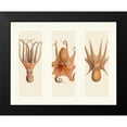 thumbnail image 2 of Fab Funky 24x20 Black Modern Framed Museum Art Print Titled - Trio of Octopus on 3 Panels, 2 of 5