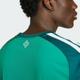 thumbnail image 4 of adidas Northern Ireland Home Men's Stadium Soccer Jersey 26/27, 4 of 5