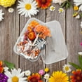 thumbnail image 2 of Flowers 1 Real Dried Flower Resin Fillings Epoxy Craft DIY Supplies Jewelry Making Accessories Forget Me Not, 2 of 7