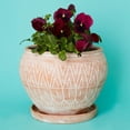 thumbnail image 2 of Medium Terracotta Belly Pot Saucer, 2 of 4
