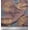 Rose Brown, variant on Soimoi Green Cotton Duck Fabric Leaves & Sketch Floral Print Fabric by Yard 42 Inch Wide