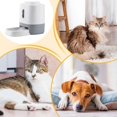 thumbnail image 3 of Automatic cat feeder, food and water dispenser, pet feeder, 1.5L capacity, slow feed bowl design, easy to clean, versatile for home use., 3 of 5