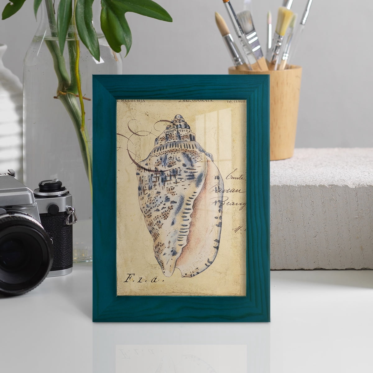 Seashell Ephemera I - Framed Print w/glass - Ocean Blue
