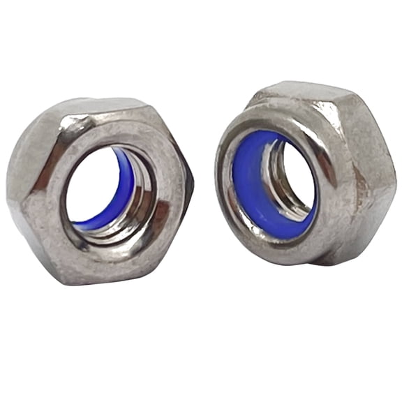 M6-1.0mm Pitch 304 Stainless Steel Left Hand Thread Hex Lock Nut -10pcs