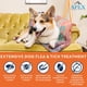 thumbnail image 2 of Prevención de pulgas y garrapatas para perros APEX Plus Small, de 2,3 a 10 kg, 2 of 9