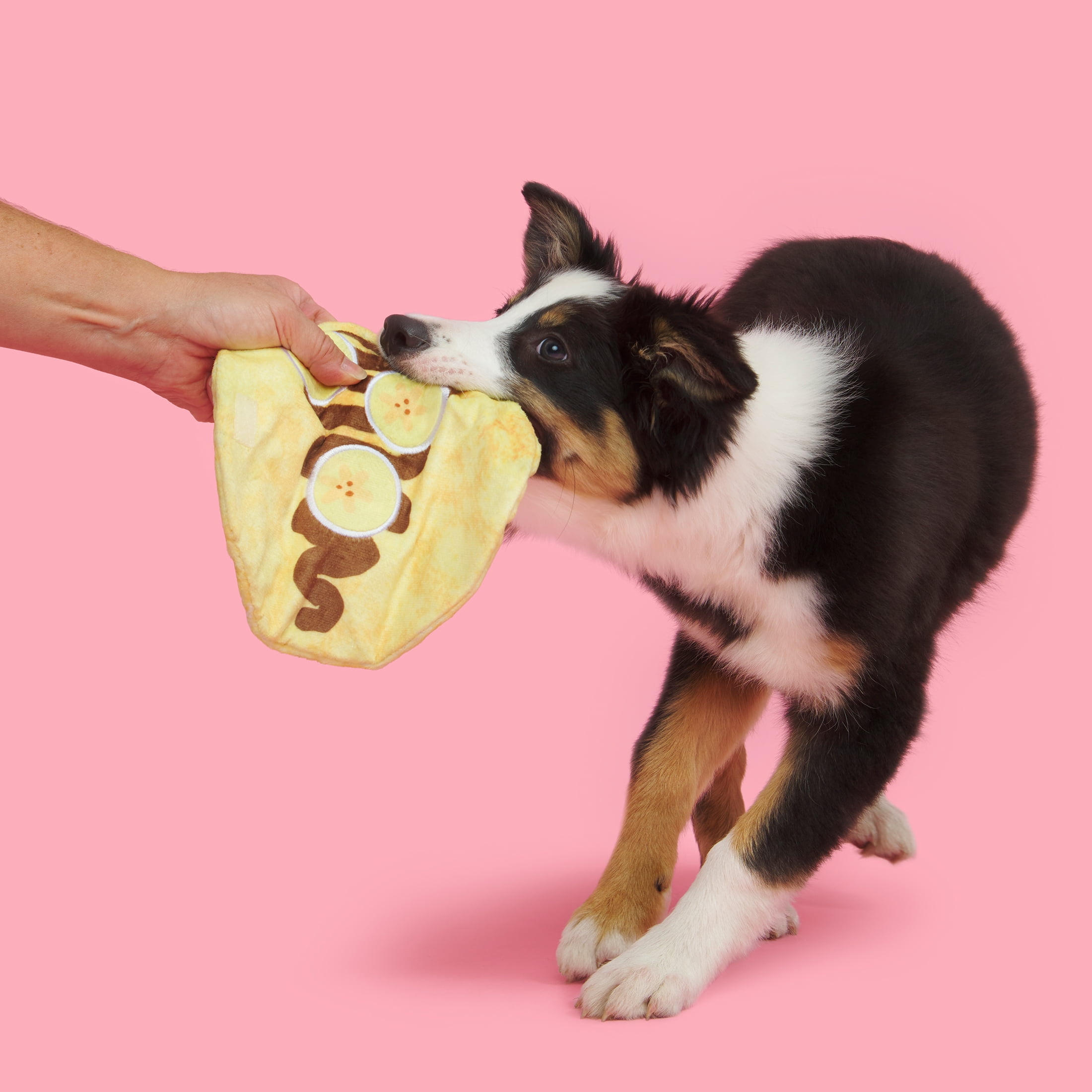 BARK Wake N Crepe Dog Toy, Multi-color, Barkfest in Bed, For Extra Small to Small Dogs