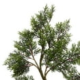 thumbnail image 2 of Vickerman Arbre de Cèdre en Pot 4 Pieds 208Lvs - TB180148, 2 of 2