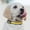 Yellow#20🎶, variant on Dog LED Light Collar and Leash Set | USB & Solar Charging | Adjustable Waterproof Visibility for Night Walks