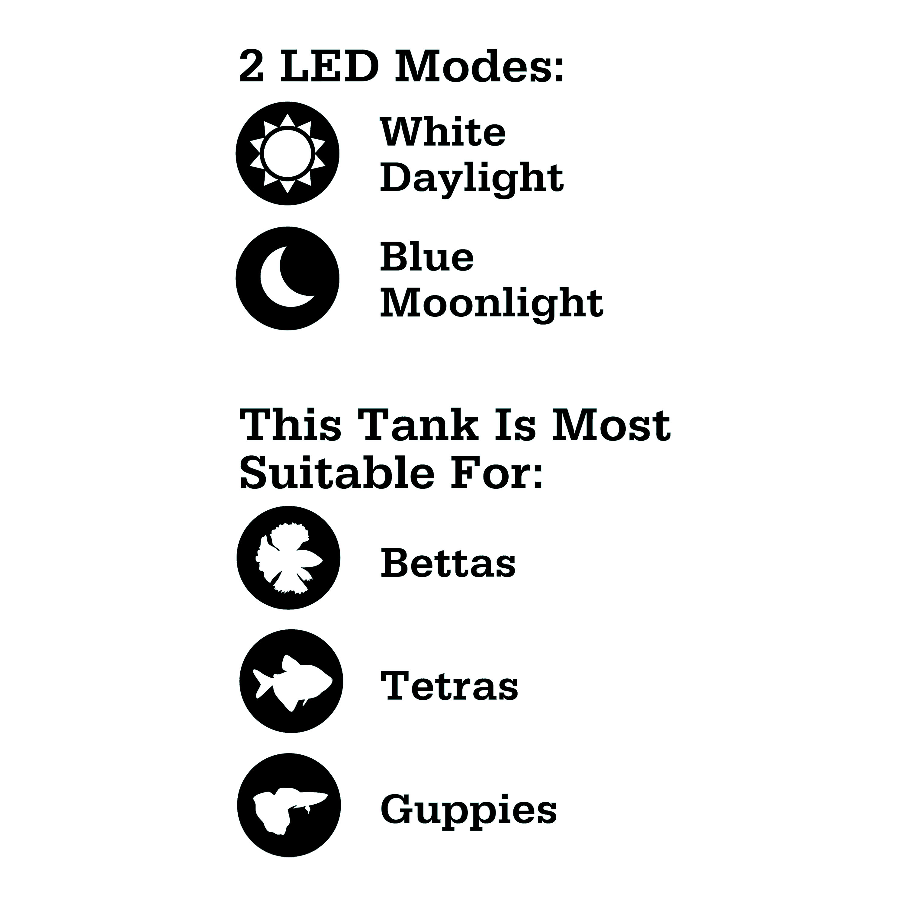 Vibrant Life 5 Gallon Aquarium Starter Kit with LED Lights photo 6