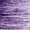 Purple, variant on Black Women's Yoga Shorts, Women Basic Slip Bike Shorts Compression Workout Leggings Yoga Shorts Capris,Women's Yoga Shorts XL