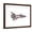Brown Frame, variant on Art.com Cut-Away Diagram of the Space Shuttle Photo, 16" x 12"