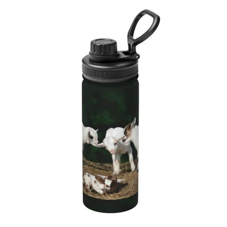 

Lukts Cute Goat Baby Print 18oz Insulated Sports Kettle Outdoor Sport Gym Stainless Steel Water Bottles