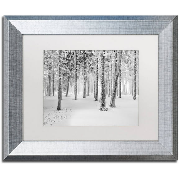 Trademark Fine Art "Frozen World" Canvas Art by Philippe Sainte-Laudy, White Matte, Silver Frame