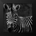 thumbnail image 2 of Grey, Jace 12x12 Black Modern Framed Museum Art Print Titled - Zebra Black And White, 2 of 5