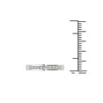 thumbnail image 4 of 1/4 Carat T.W. Diamond 14kt White Gold Wedding Band, 4 of 5