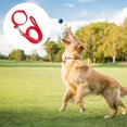 thumbnail image 3 of Collar para mascotas, correa para perros, correa para gatos, para pasear perros al aire libre, correa para perros en miniatura, cadena para perros, 3 of 5