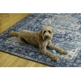 thumbnail image 4 of Sariah 5' x 7' Washable Area Rug, Teal and Ivory, 4 of 8